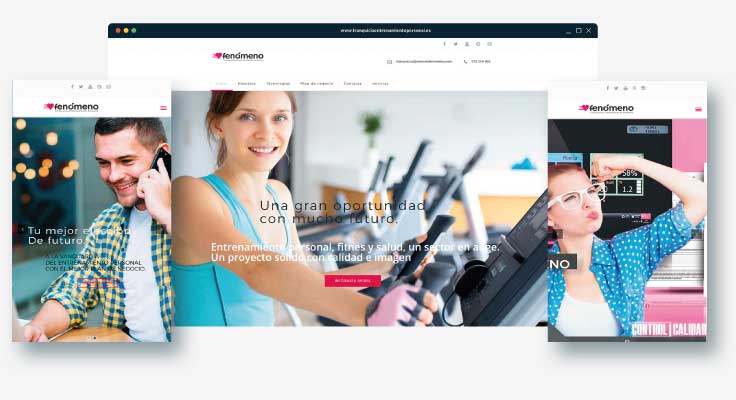 diseno-web-franquicias-fitness diseno-web-franquicias-fitness