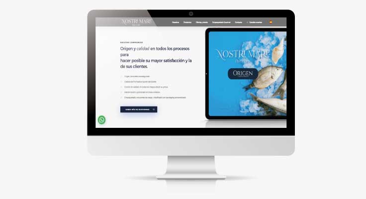 diseno-web-empresa diseno-web-empresa
