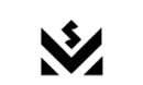 ico_branding