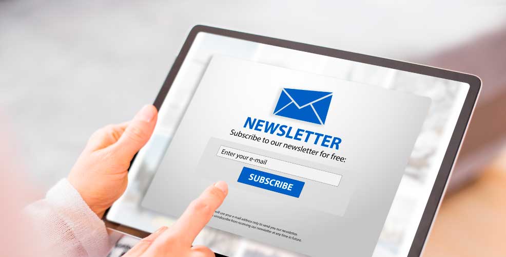 newsletter-web newsletter-web