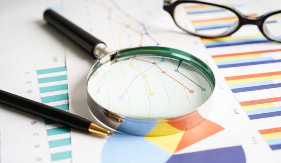 creacion-marca-investigacion